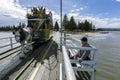 A horse pulls a carriage across the causeway at victor Harbor in South Australia.