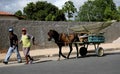 Horse pulls cart with satellite dish