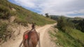 Horse pulls a chaise on a dirt path on a sunny day Royalty Free Stock Photo