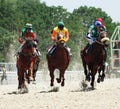 Horse race. Royalty Free Stock Photo