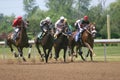 Horse Race Royalty Free Stock Photo