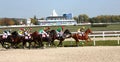 Horse race. Royalty Free Stock Photo