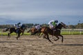 A horse race Royalty Free Stock Photo