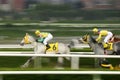 HORSE RACE FINISH Royalty Free Stock Photo