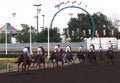 Horse Race Finish Royalty Free Stock Photo