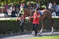 Abstract Motion Blur Horse Race Royalty Free Stock Photo