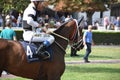 Horse Race Royalty Free Stock Photo