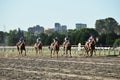 horse race at the HipÃÂ³dromo Argentino de Palermo