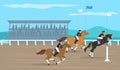 Horse Race Illustration