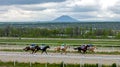 Horse race for the prize Big Spring among thoroughbred horses