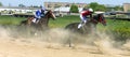 Horse race for the prize of Letni Royalty Free Stock Photo