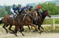 Horse race for the prize Oaks. Royalty Free Stock Photo