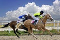 Horse race for the prize Oaks. Royalty Free Stock Photo