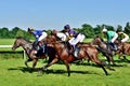 Horse race for the prize of the President of the C Royalty Free Stock Photo