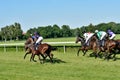 Horse race for the prize of the President of the City of Wroclaw on Juni 8, 2014.