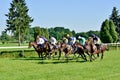 Horse race for the prize of the President of the City of Wroclaw on Juni 8, 2014.