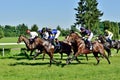 Horse race for the prize of the President of the City of Wroclaw on Juni 8, 2014.