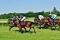 Horse race for the prize of the President of the City of Wroclaw on Juni 8, 2014.