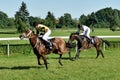 Horse race for the prize of the President of the City of Wroclaw on Juni 8, 2014.