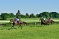 Horse race for the prize of the President of the City of Wroclaw on Juni 8, 2014.