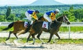 Horse race Pyatigorsk hippodrome Royalty Free Stock Photo