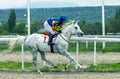 Horse race in Pyatigorsk hippodrome Royalty Free Stock Photo