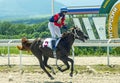 Horse race in Pyatigorsk