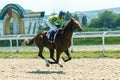 Horse race in Pyatigorsk