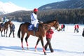 Horse Race on Snow