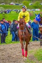 Purebred horse and jockey at traditional race event Bulgaria Royalty Free Stock Photo