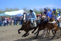 Horse race Royalty Free Stock Photo