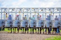 Horse race start gates with numbers and competitors ready Royalty Free Stock Photo