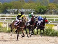 Horse race for the Victory Day prize at the Pyatigorsk