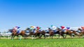 Horse Racing Speed Motion Blur Grass Track