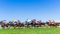 Horse Racing Speed Motion Blur Grass Track