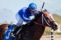 Horse Races In Phoenix, Arizona Royalty Free Stock Photo