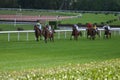 Horse racing Royalty Free Stock Photo