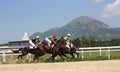 Horse racing. Royalty Free Stock Photo