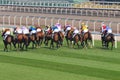 Horse racing Royalty Free Stock Photo