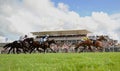Horse Racing Royalty Free Stock Photo