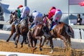 Horse Racing Action Royalty Free Stock Photo