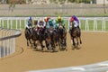 Horse Racing Action