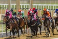 Horse Racing Action