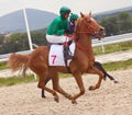 Horse Racing Royalty Free Stock Photo