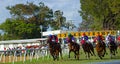 Horse Racing in Barbados at the Garrison Savannah Royalty Free Stock Photo