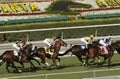 Horse Racing at Beautiful Santa Anita Race Track Royalty Free Stock Photo