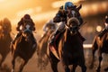 Horse racing, betting on equestrian sports. An equestrian. Many horses are competing, running against the background of the sunset Royalty Free Stock Photo