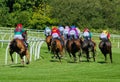 UK Horse Racing. The final turn. A rear end view Royalty Free Stock Photo