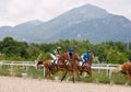 Horse racing at the hippodrome in Pyatigorsk.