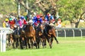 Horse Racing Jockey Action Royalty Free Stock Photo